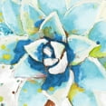 thumbnail image 2 of Pinto, Patricia 26x26 White Modern Wood Framed Museum Art Print Titled - Cool Aqua Succulent Close Up, 2 of 4