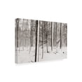 thumbnail image 2 of Trademark Fine Art 'A Snowy Walk I' Canvas Art by James McLoughlin, 2 of 4