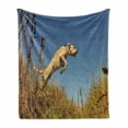 thumbnail image 1 of Hunting Soft Flannel Fleece Blanket, Purebred Labrador Retriever Jumping in a Field Blue Sky Rural Outdoors Photograph, Cozy Plush for Indoor and Outdoor Use, 50" x 60", Multicolor, by Ambesonne, 1 of 6