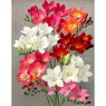 thumbnail image 1 of Diamond Painting (DB3087) 5D DIY Square Flowers Art Kits de bordado (B910) 30x40cm FLhrweasw Nuevo, 1 of 1