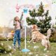 thumbnail image 2 of The latest bubble machine in 2025, suitable for parties, rechargeable bubble machine, 2 of 5