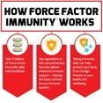 thumbnail image 6 of Force Factor Immunity, with Elderberry, Vitamins C & D, Zinc, Quercetin, & Echinacea, 90 Tablets, 6 of 9