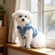 thumbnail image 4 of Vestido tipo tirantes para perro y gato con ribete de encaje, algodón, tallas ajustables para razas pequeñas y gatos, ropa para mascotas ligera y transpirable, 4 of 6