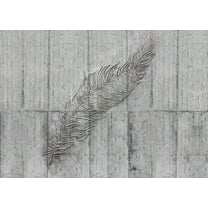Concrete Feather Wall Mural