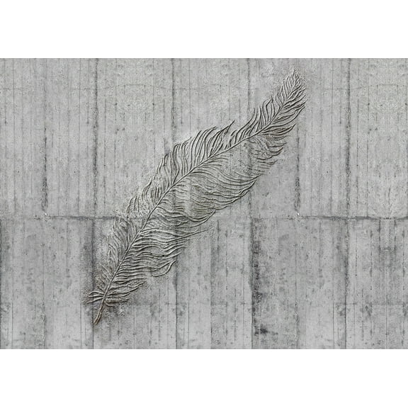 Concrete Feather Wall Mural