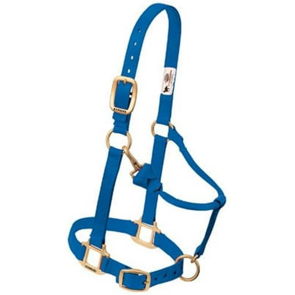 35-7035-BL 1 in. Adjustable Chin & Throat Snap Halter, Blue