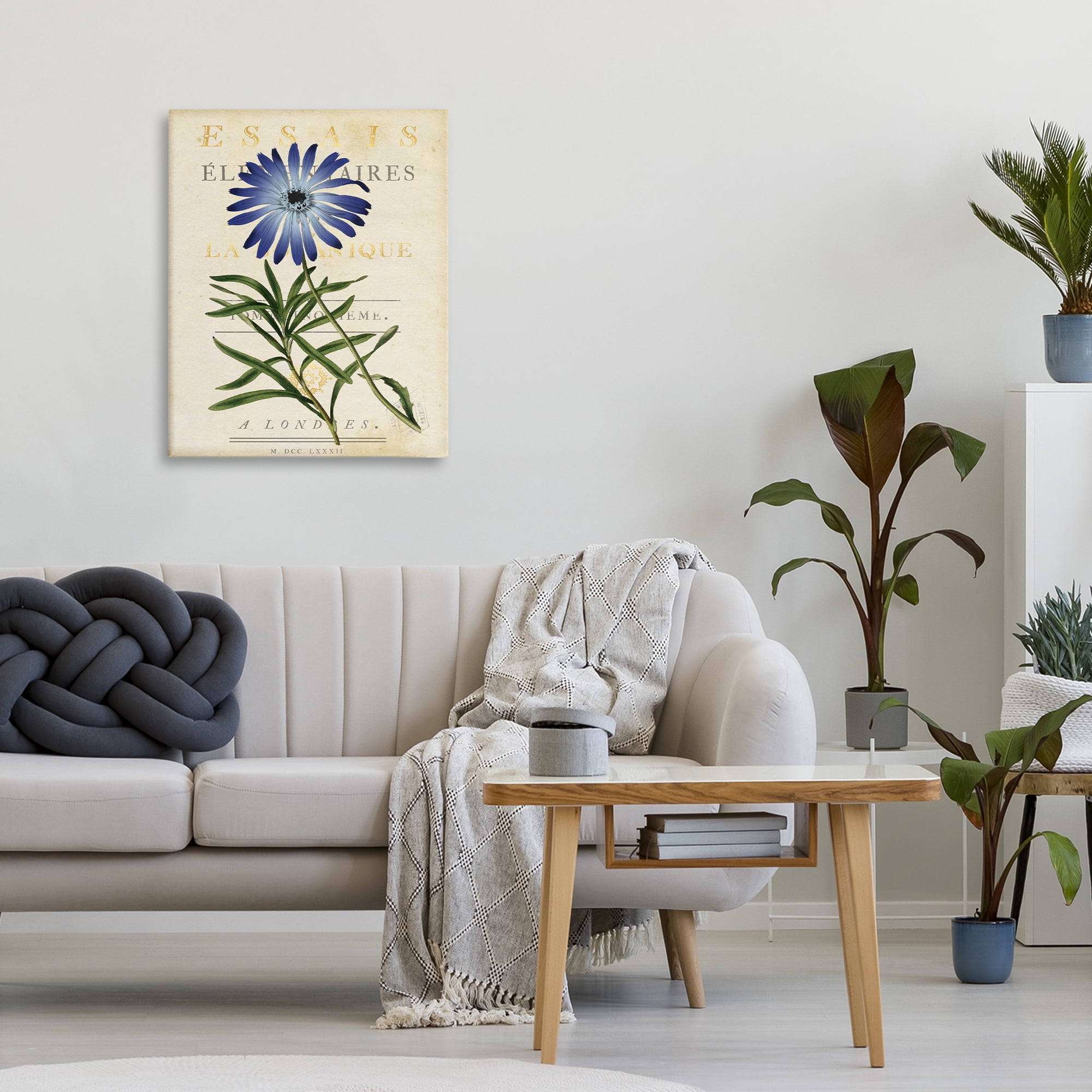 Stupell Industries Natural Botany Daisy Canvas Wall Art, design by Susan Arnot