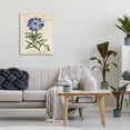 thumbnail image 3 of Stupell Industries Shabby Chic Natural Botany Daisy Canvas Art, 16 x 20, by Susan Arnot, 3 of 8