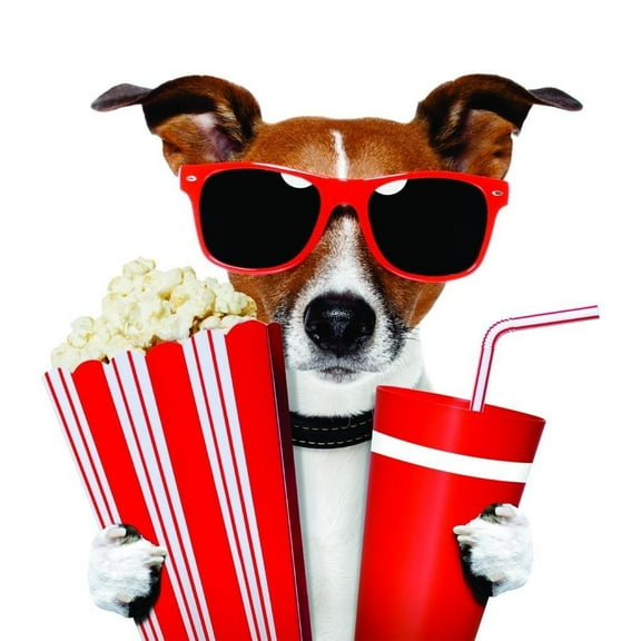 Wall Design Pieces Dog Holding Soda & Popcorn 20 X20" -