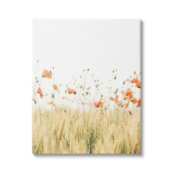 Stupell Industries Rural Poppy Meadow Botanical & Floral Photography Gallery Wrapped Canvas Art Print Wall Art, 16 x 20