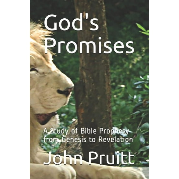 God's Promises: A Study of Bible Prophesy from Genesis to Revelation, (Paperback)
