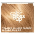 thumbnail image 5 of Clairol Color Gloss Up Semi Permanent Toning Color Hair Dye, Toasted Almond Blonde, 4.3 oz, 5 of 9