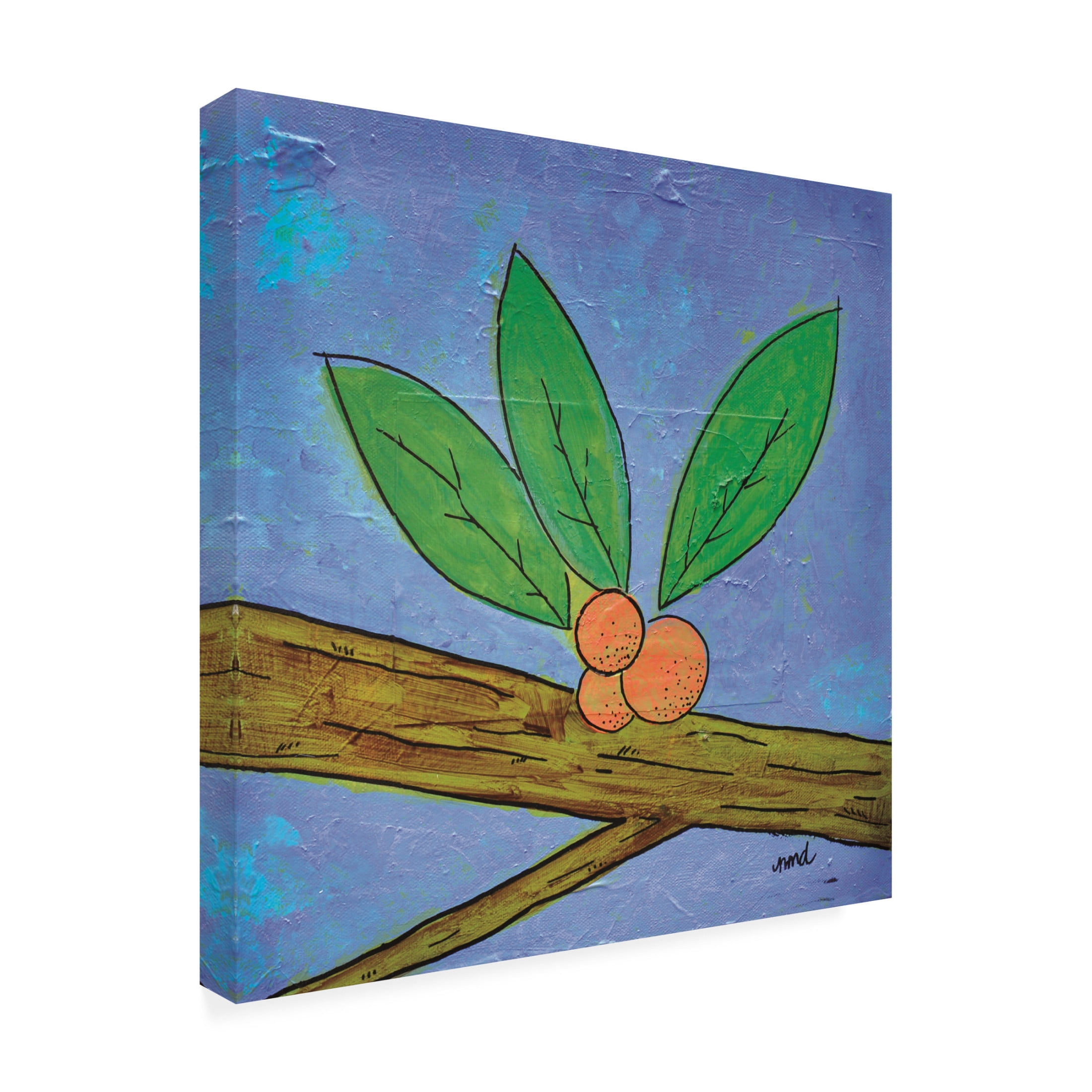Canvas Wall Art - Nicole Dietz 'Berries' Wall Art for Living Room, Bedroom, or Office Décor by Trademark Fine Art - 35 x 35 Inches