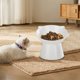 thumbnail image 5 of Cuenco elevado para gatos, cuenco de comida para gatos antivómitos inclinado y elevado que protege la columna vertebral, cuenco de comida para gatos MFZFUKR BST3006952-1, 5 of 5