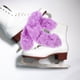 thumbnail image 4 of CTIRCHIU 1Par Protectores Para Cuchillas De De Hielo En Morado Material Resistente, 4 of 6