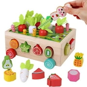 ASTARIN Montessori Wooden Shape Sorter Educational Toys for Baby Boys Girls Age 2 3 4 5 Years Old, Wooden Farm Harvest Game,Ideal Birthday Xmas for Kids Toddlers