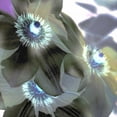 thumbnail image 2 of Blaustein, Alan 26x26 Gold Ornate Wood Framed with Double Matting Museum Art Print Titled - Floral Color - 14, 2 of 4