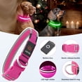 thumbnail image 4 of Collar LED para perro Flashseen, recargable por USB, con luz rosa, 4 of 6