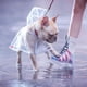 thumbnail image 5 of Impermeable animal Impermeables para perros Impermeables impermeables para cachorros, 5 of 5
