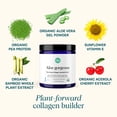 thumbnail image 2 of Ora Organic Vegan Polvo potenciador de colágeno para mujeres y hombres - Soporte para cabello, piel y uñas - Sílice de bambú, proteína a base de plantas, vitamina C orgánica, aloe vera - Sabor a vaini, 2 of 5