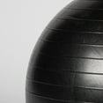 thumbnail image 3 of Titan Fitness 55cm Black Exercise Stability Ball, 21.65" Diameter Inflatable Yoga Ball for Home Gym Workouts, Resistance Exercises, Balance Core Strength Training, 3 of 4