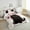 Pink Black, variant on Erosebridal Black Kitten Bedding King Comforter Set, Cute Cat Down Comforter, Japanese Sun Decor, Reversible 3-Piece