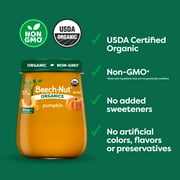 (10 pack) Beech-Nut Organics Stage 1 Organic Baby Food, Pumpkin, 4 oz Jar