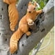 thumbnail image 5 of Garden Decoration Small Decoration Garden Outdoor Garden Simulation Cute Sculpture Resin Crafts, 5 of 5