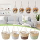 thumbnail image 1 of Xihbxyly Ofertas Por Menos de 10 Dolares Cesta de Ratán para Colgar, Cesta de Almacenamiento con Eneldo Verde, Cesta de Césped para Jardinería, 1 of 4