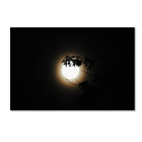 Trademark Fine Art "Howl" Canvas Art by Monica Mize