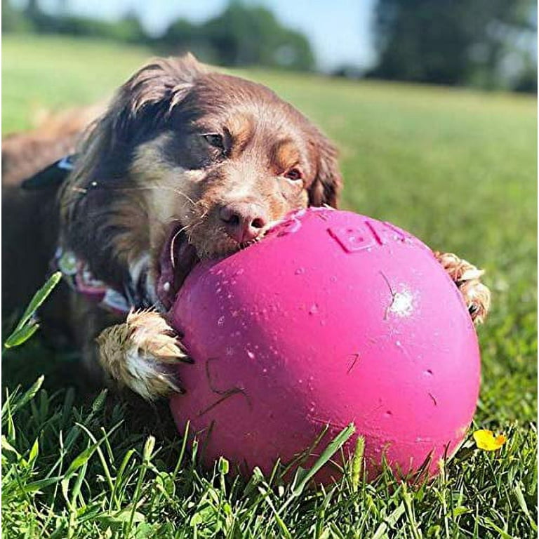 Do I Still Recommend Herding Balls By Jolly Pets? 