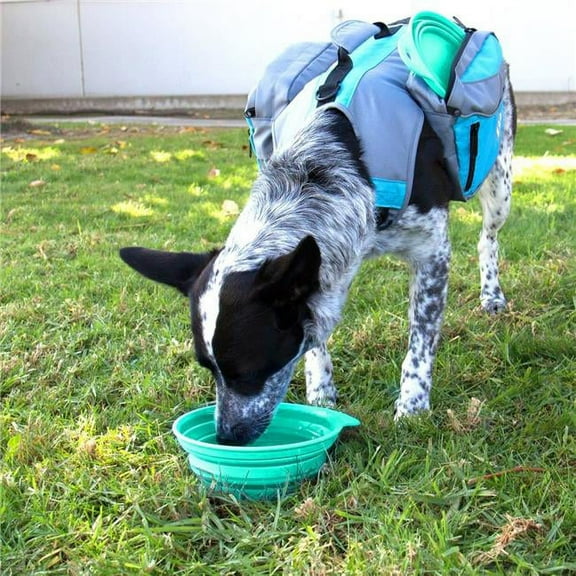 Bella & Max PT-0110G Pet Bowl, Green