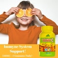 thumbnail image 4 of Vitamin C Gummies for Kids with 250mg, Immune System Support, Natural Orange Flavor - 60 Gummies, 4 of 4