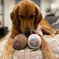 thumbnail image 2 of Pawty Animals Vibes & Chill Pack, 2 of 4