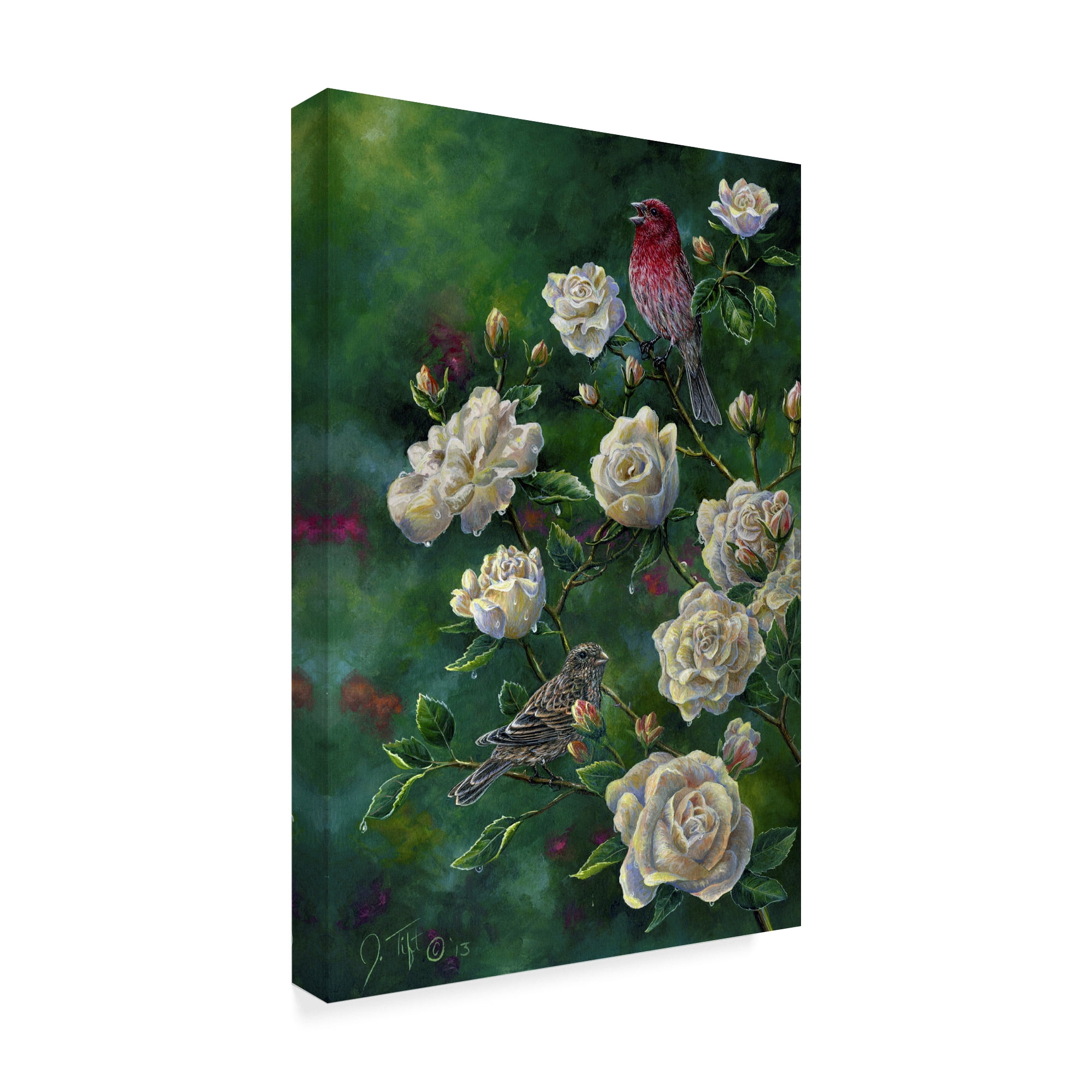 Trademark Fine Art 'Purple Finch' Canvas Art by Jeff Tift