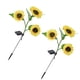 thumbnail image 2 of Matsuzay Luz de girasoles solares para exteriores, IP65, resistente al agua, para jardín, camino, parque, Patio, porche, decoración de pasarela, Iluminación y accesorios Tres cabezas Matsuzay HA073198-02, 2 of 6