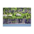 thumbnail image 2 of Gango Home Decor Columbia Gorge by Douglas Taylor (Printed on Paper); One 36x24in Fine Art Paper Giclee Print, 2 of 4
