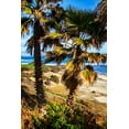 thumbnail image 2 of Hausenflock, Alan 11x14 White Modern Wood Framed Museum Art Print Titled - La Jolla Palms I, 2 of 4