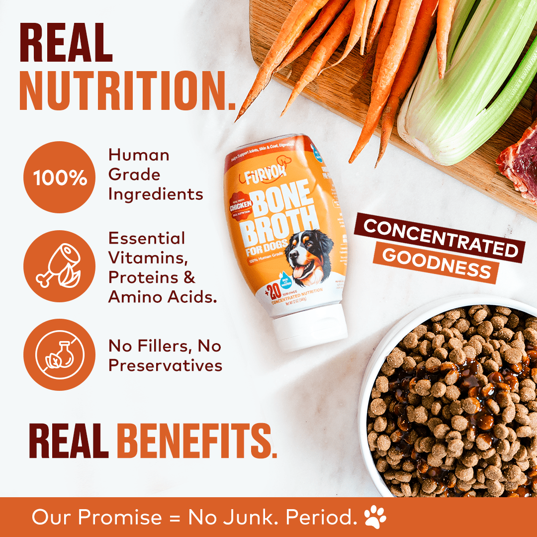 Furvor Chicken Broth for Dogs, Bone Broth Collagen Protein, 12 oz