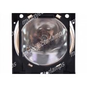 Proxima DP-5950 Projector Lamp with Module