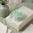 thumbnail image 6 of INSPIRE CHIC Lace Ruffled Shoelaces Ribbon Semi Sheer Pleated Trim Chiffon Elastic Shoe Strings for Sneakers 2 Pairs Light Green 3cm 120cm/47.2", 6 of 6
