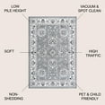 thumbnail image 3 of JONATHAN Y MODERN PERSIAN 8 x 10 Area Rug, Cherie French Cottage - Gray/Cream, MDP505B-8, 3 of 12