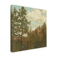 thumbnail image 2 of Trademark Fine Art 'Western View I' Canvas Art by Megan Meagher, 2 of 4