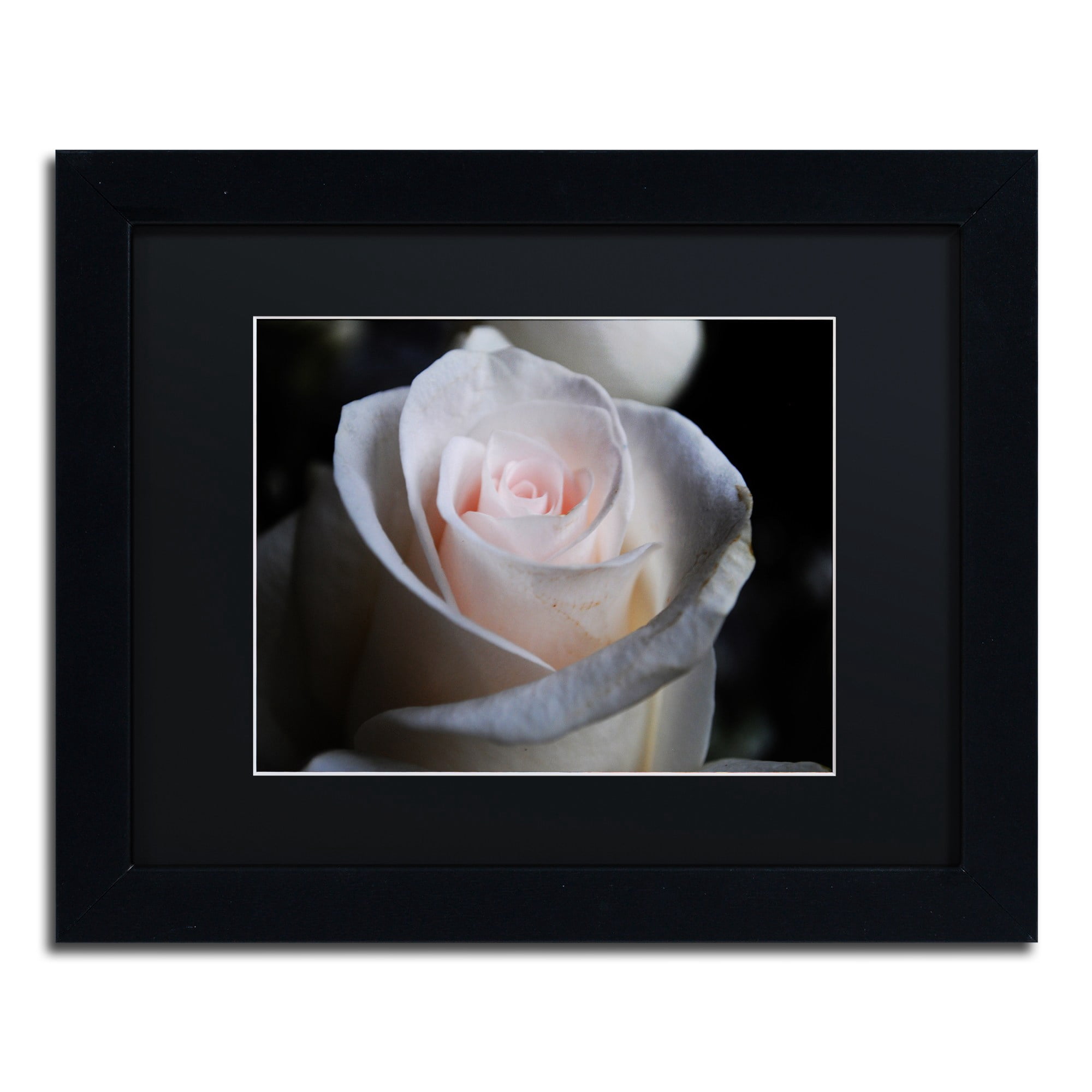 Trademark Fine Art "Loyal Star" Canvas Art by Monica Mize, Black Matte, Black Frame