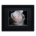 thumbnail image 2 of Trademark Fine Art "Loyal Star" Canvas Art by Monica Mize, Black Matte, Black Frame, 2 of 4