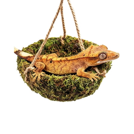 Handmade Crested Gecko Tank Decor – Hanging Shelter, Reptile Hammock for Bearded Dragon, Hermit Crab, Snake and Other Small Reptiles