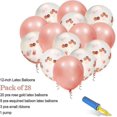 thumbnail image 2 of Pink And Gold Birthday Decorations Party Supplies Set (50 Pc), Balloons, Tassels, Banner, Dispensing, Pum, 2 of 5