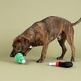 thumbnail image 2 of Juego de juguetes para perros Fringe Plush para botellas y abrebotellas con chirriadores, 2 of 2