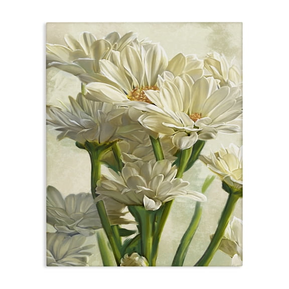 Stupell Industries Traditional White Daisy Spring Florals Canvas Art, 16 x 20, by Ziwei Li