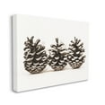 thumbnail image 3 of Stupell Industries Three Pinecones Nature Botanical & Floral Photography Gallery Wrapped Canvas Print Wall Art, 40 x 30, 3 of 7
